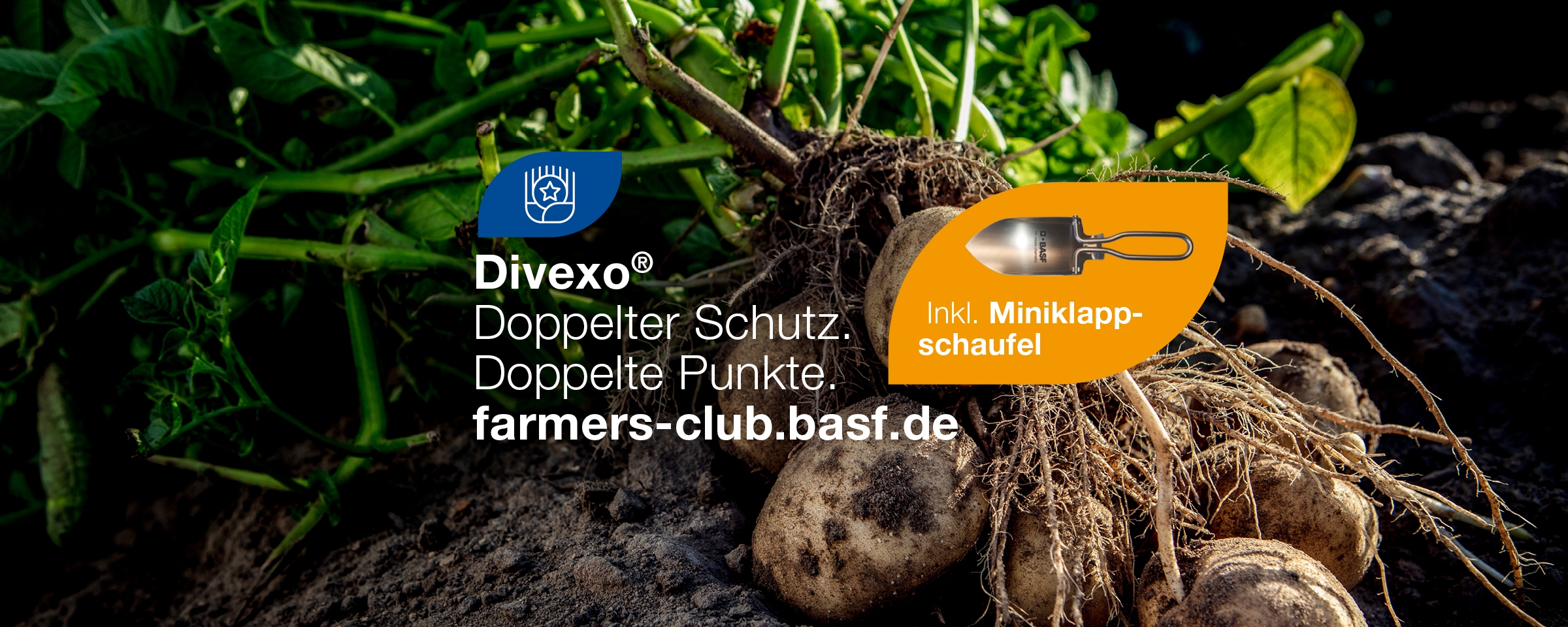 FC_Startseite_Header_2400x960_Divexo